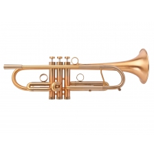 Trumpet A4-LT Custom Series, Large