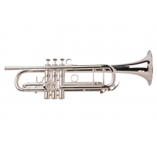 Trumpet A10 Custom Series