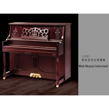 mole piano 133s1