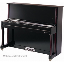 mole piano 123G1