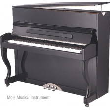 mole piano 120